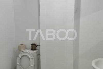 Spatiu comercial de inchiriat in Sebes zona centrala - 6