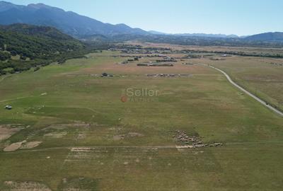 Teren extravilan Rasnov - 16