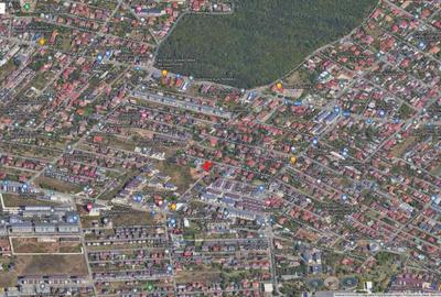 Teren Rosu Chiajna intravilan 1037mp - 5