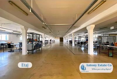 Antony Estate | Vanzare Hala - 2020 mp, Borsului - Oradea - 5