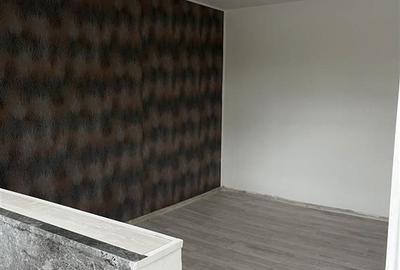 Spațiu comercial, de 50 mp, în Podu Roș