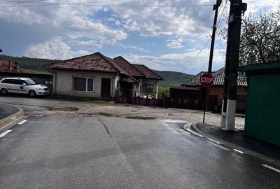 Casă+ teren de 2571mp+potențial comercial - 1