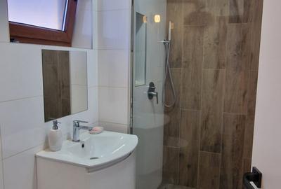 Casa individuala cu 4 camere si 260 mp teren de vanzare in Tineretului - 9