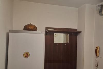 Tineretului, garsoniera, 10 min metrou, BOILER, bloc mixt, PET  FRIENDLY - 5