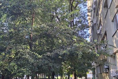 Gorjului Metrou in fata blocului Garsoniera Moderna - 11