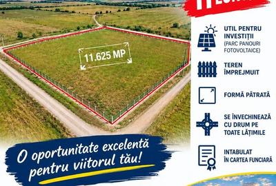 Teren agricol extravilan de 13489 mp, în Cotești