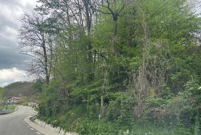 Imobil comercial/turistic S+P+2 - oportunitate investitie Muereasca ( Valcea) - 11