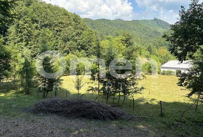 Teren extravilan de vânzare | 1402 mp | Blidari | zonă superbă - 8