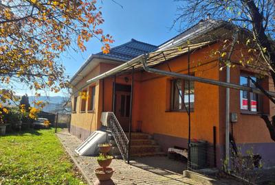 TEREN /CASA DE VANZARE , 1.580 , AVRAM IANCU - 1