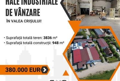 Hale industriale de vânzare în Valea Crișului! - 1