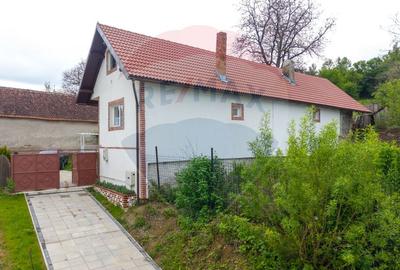 Casă de poveste la poalele muntelui, Purcareni. - 3
