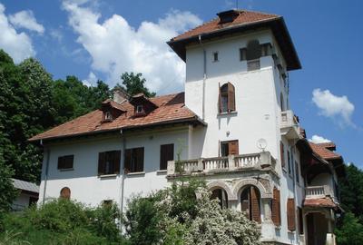 Conac istoric clasa B, 13 ha teren, valoare istorica - 1