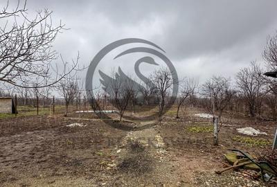 Casa cu 5 camere de vanzare l Cocorastii Colt - Prahova l Comision 0% - 21