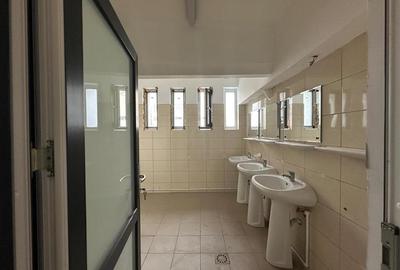 Spatiu birou de inchiriat, 158mp, langa Carrefour si Kaufland - 12
