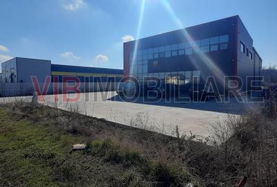 Hala cu birouri de vânzare în Buftea - 2
