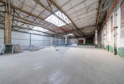 Spațiu industrial 10,400mp de închiriat în zona Astra! - 8