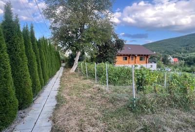 Evadare in mijlocul naturii in satul Lisnau - Ozun - 4