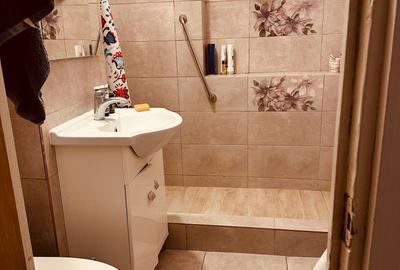 Vanzare Apartament Decomandat 4 Camere Pantelimon Morarilor Fundeni - 23