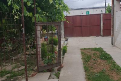 Casă P+M cu teren 744 mp în Dumbrava (Timiș) – Zonă excelentă, vizavi de facilit - 9