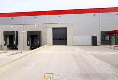 Hala de inchiriat Arad A1 – spațiu industrial modern 2.349 mp - 9