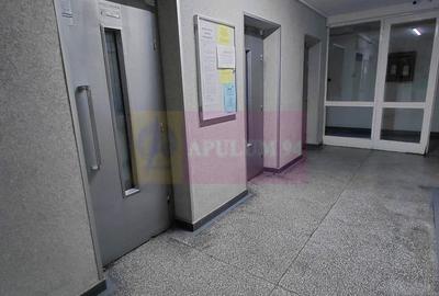 Titan Metrou M1-statia Titan si parc IOR, Bebe Tei - 16