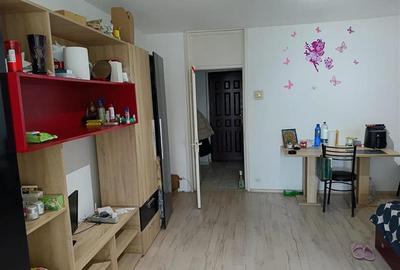 Garsonieră semidecomandată în Costin Georgian