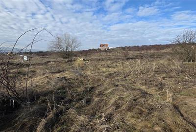 TEREN INTRAVILAN 590 MP  | 2 FRONTURI 17 MP | ZONA CARTIER  VORONET - 7