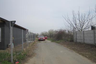 Teghes-Caminului - 13