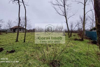 Vanzare casa de paianta la 10 km de Urziceni, Ialomita - 13