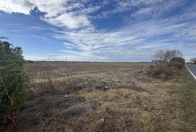 Vand Teren Extravilan Biled(zona industriala) 25.000mp,F.S la DN6 - 4