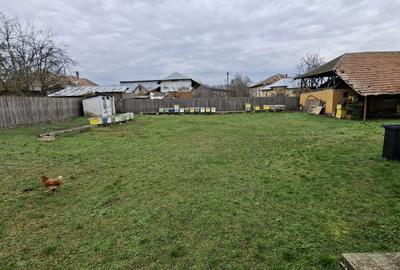 Casă Priboieni, teren 1.500mp ! - 13