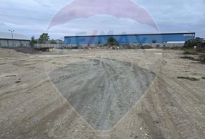 Teren de inchiriat – 13.500 mp, Clinceni Centura Bragadiru–Domnesti - 14