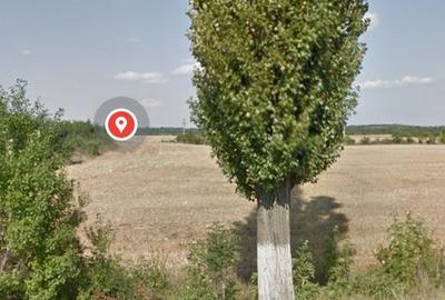 Teren intravilan 80975 mp in Crevedia - 5