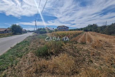 Teren Intravilan (2309 mp), situat in Turcinesti-Cartiu - 4