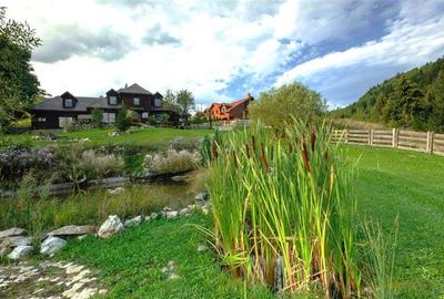 Raritate| Teren intravilan de vis de  6 ha de vanzare in Pestera Brasov - 2