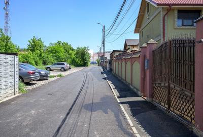 Vilă spațioasă cu teren generos, grădină și anexe, Brănești - 8