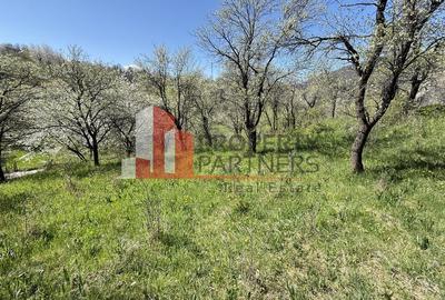 Teren 2500 mp Sohodol - 12