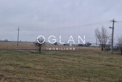 Teren extravilan 11.300 mp, front 39 m, Selimbar - 2