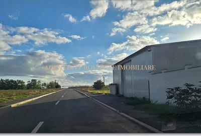 Teren de vanzare in Cumpana, Tabara - 1836 mp - 1