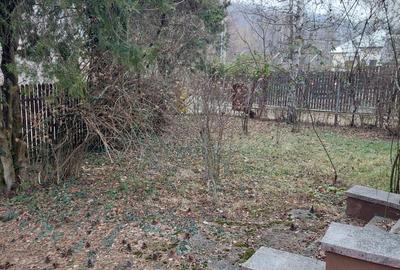 Casa vacanta Breaza - 9