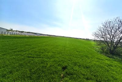 Teren intravilan | Dragomiresti Vale | Sat Zurbaua IF | INVESTITIE - 4