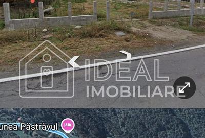 Teren extravilan 2.300 mp – Cârțișoara, județul Sibiu - 4