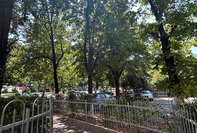 Dristor 2 Camere Etaj 10 51 Mp Bloc Turn 1970 2 Min Metrou - 16