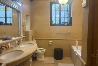 Oportunitate De Vanzare! Vila Exclusivista Unirii - Matei Basarab - 18