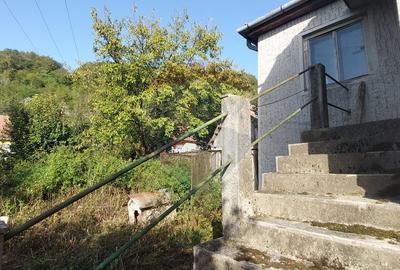 Casă  individuala cu teren generos - 3