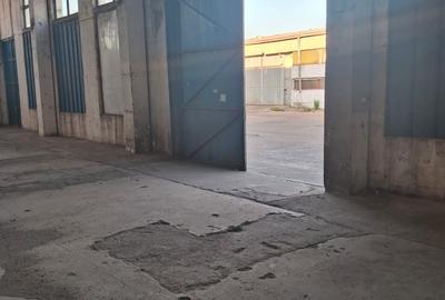 Spatii depozitare /productie Linia de Centura Leordeni-Glina - 4