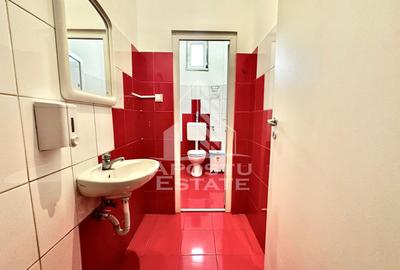 Spatiu Comercial/Birouri de Inchiriat In zona UTA langa Penny, Ared - 20