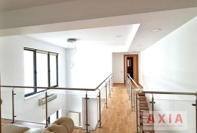 Spatiu de birou - parter - Banu Manta - Titulescu - 2