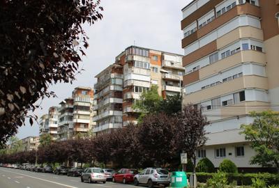 3 camere - Complexul Studentesc -Bld. Corneliu Coposu - 1