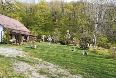 Topoloveni - Conacul Ion Mihalache, Domeniu pe 5 Hectare! - 5